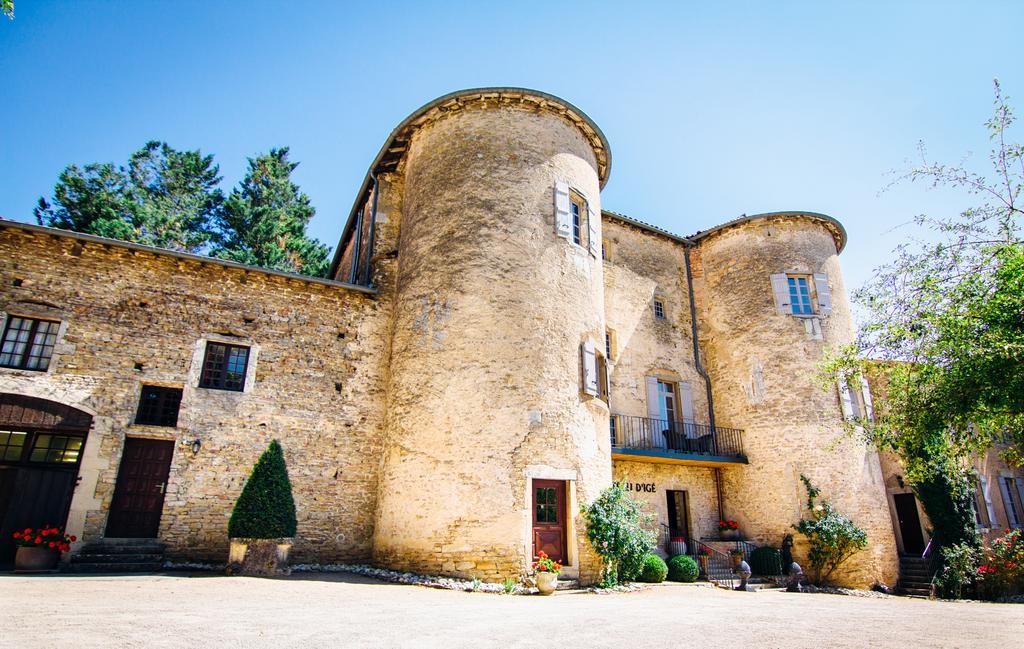 Chateau D'Ige מראה חיצוני תמונה